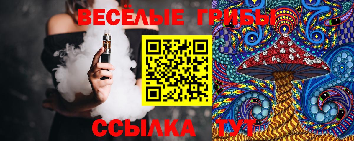 где купить наркотик  Галлюциногенные грибы прущие грибы  Вход с VPN  Железногорск 